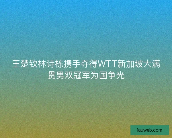 王楚钦林诗栋携手夺得WTT新加坡大满贯男双冠军为国争光